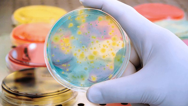 CRS实施流程：揭秘生物医药研发的“高效引擎