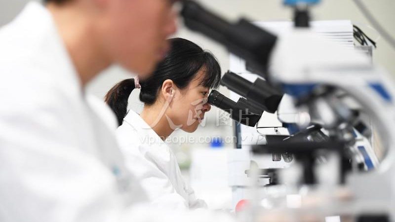 PCR检测标准操作规程：精准检测的基石