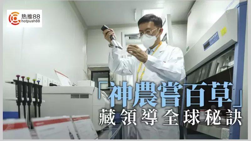PCR实验室建设：预算构成与关键考量