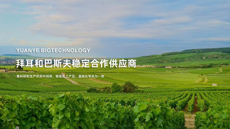 ADC药物耐药性：解析其优缺点与应对策略
