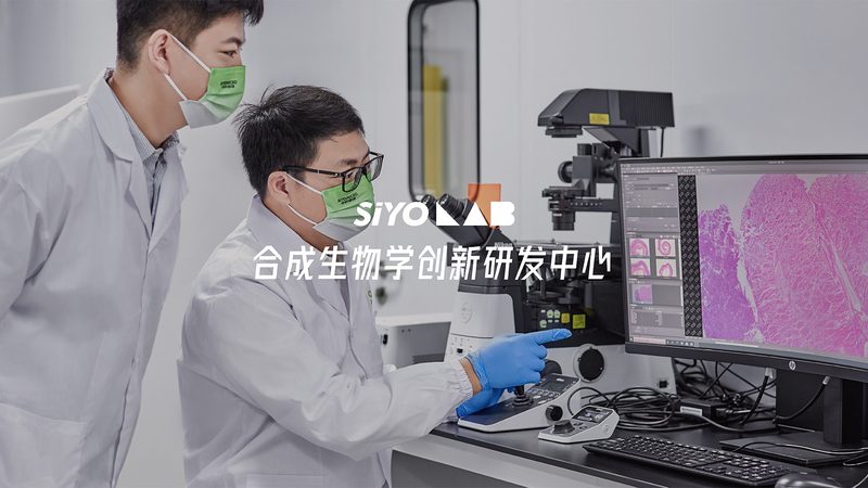 CDMO龙头企业定制流程：揭秘生物制药的“幕后英雄