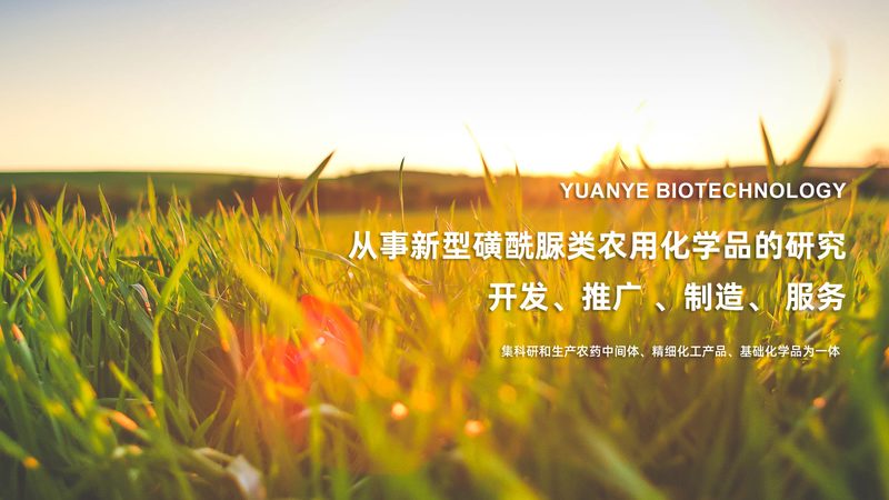 小分子CDMO：如何选择合适的生产厂家？**