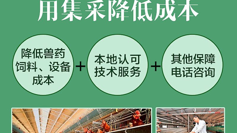 CDMO与CMO：揭秘医药研发中的关键角色