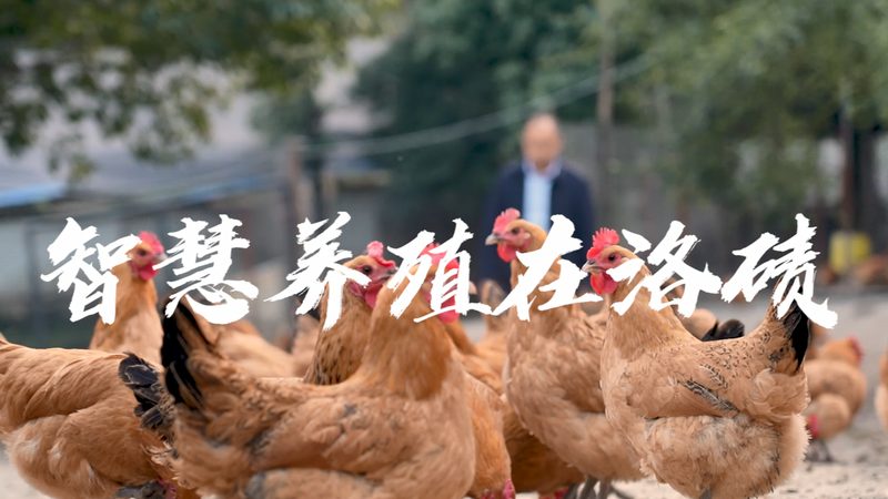 逆转录试剂盒：精准科研的得力助手**