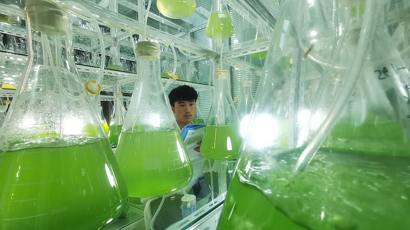 成都生物试剂标准品：精准科研的基石**